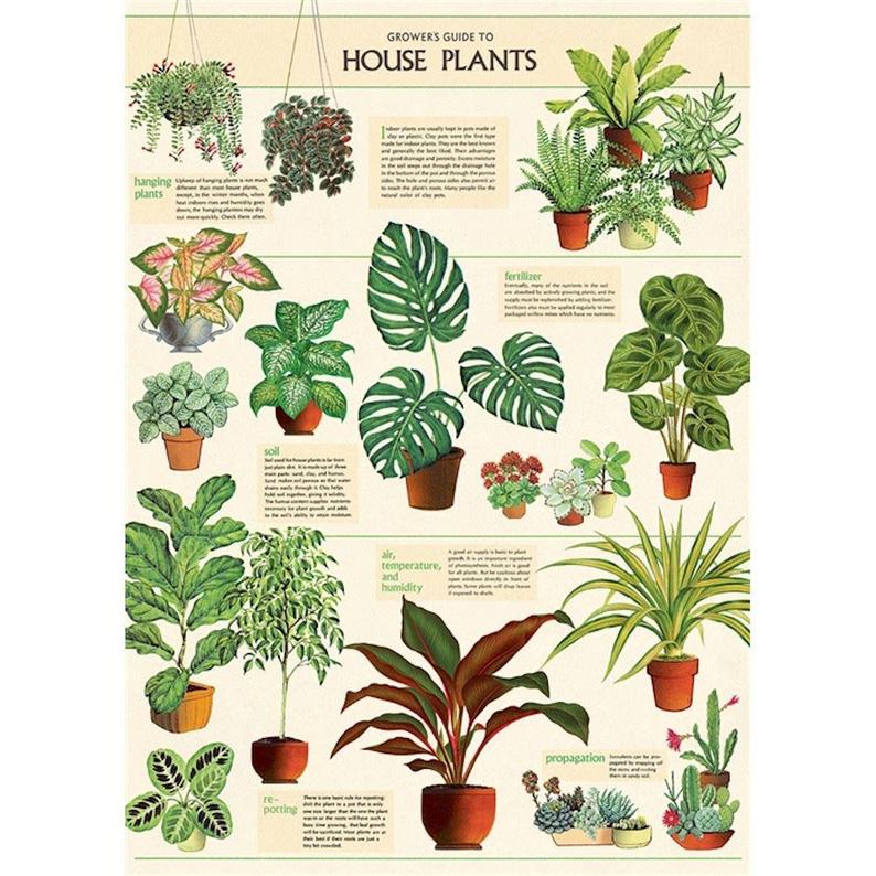 Botanic Garden Print
