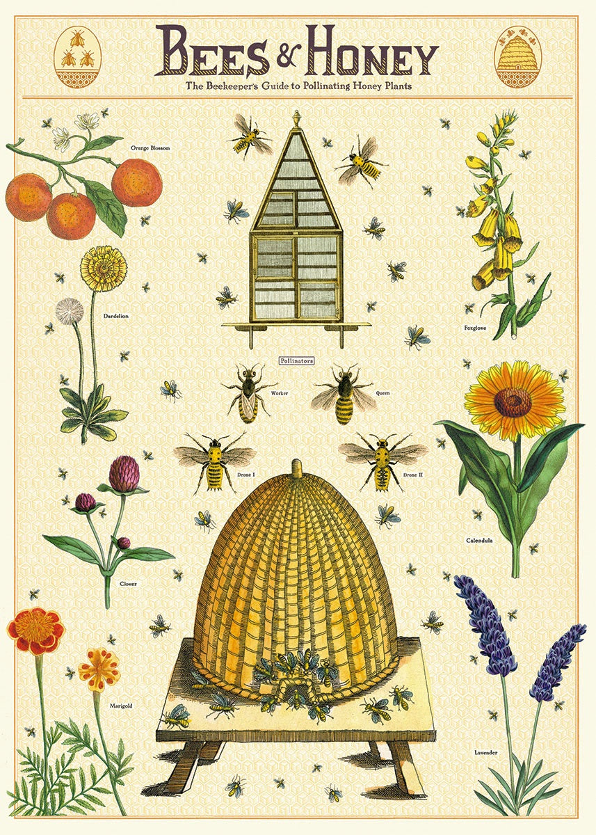 Bees and Honey Print 2