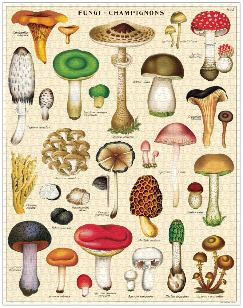 Puzzle - Mushrooms