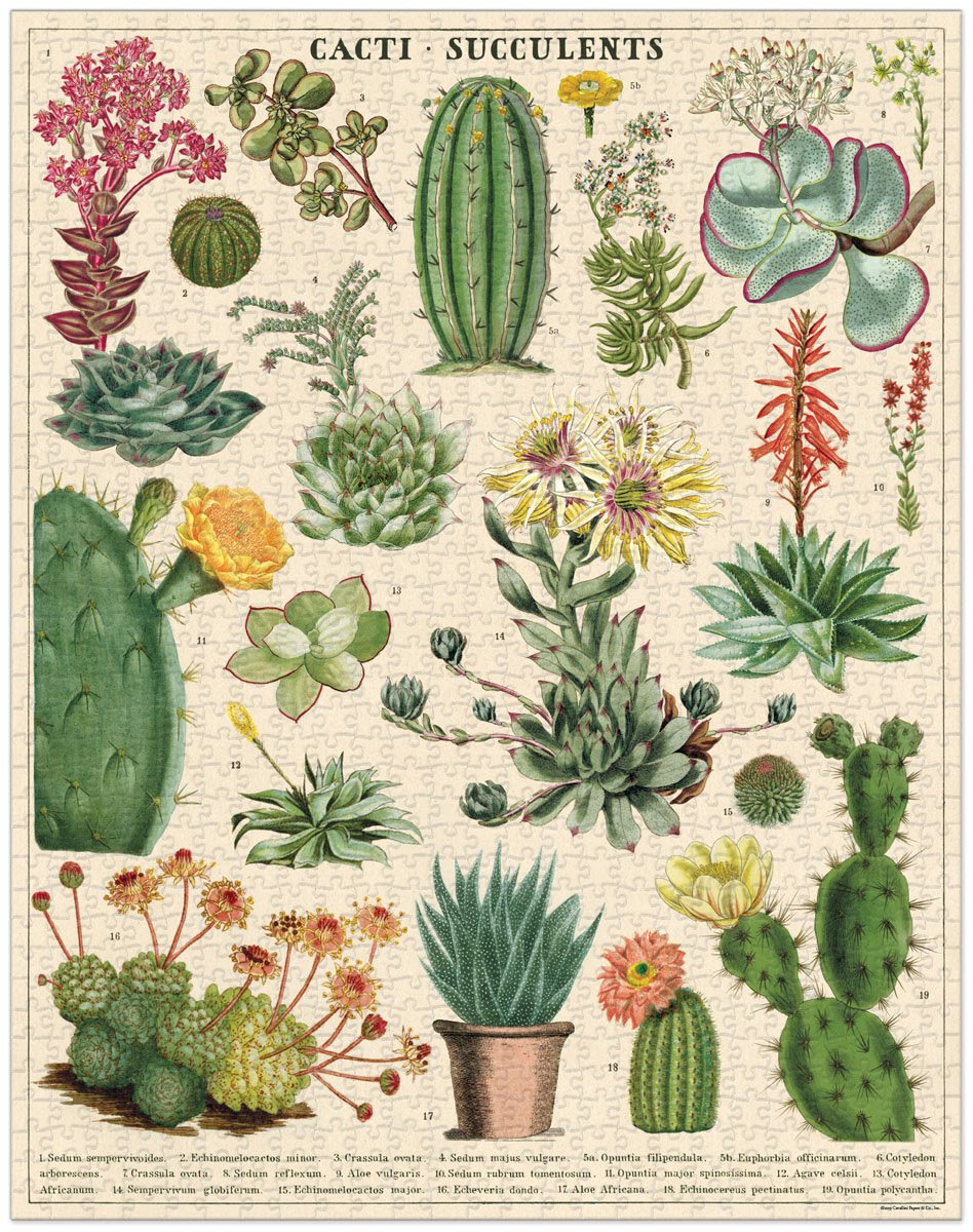 Puzzle - Cactus and Succulents