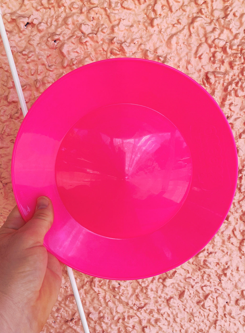 Spinning Plate Pink