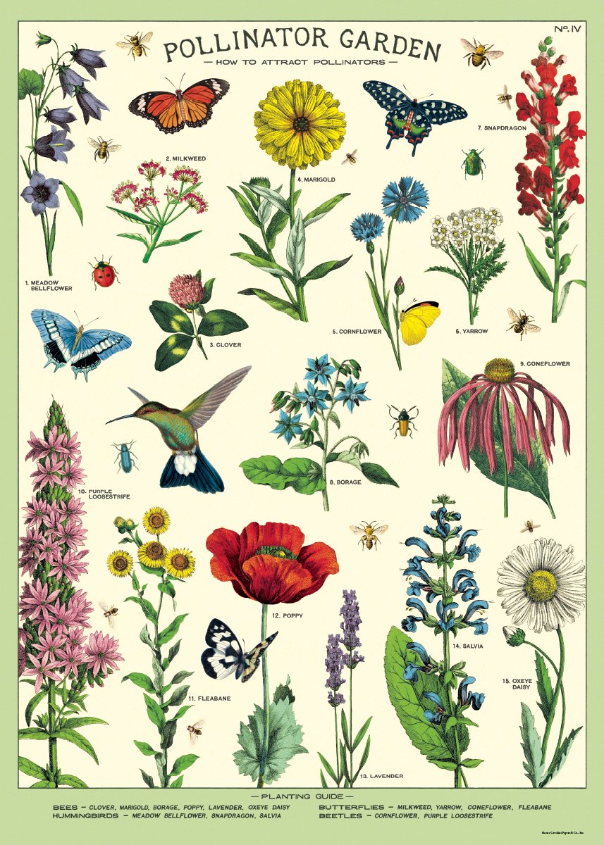Pollinator Garden Print