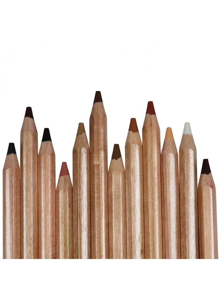 Skin Tints Pencils 12pc