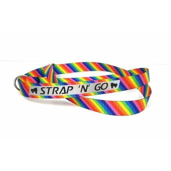 Skate Strap - Rainbow Diagonal